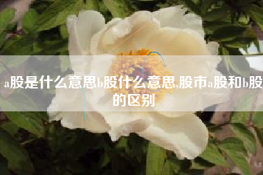 a股是什么意思b股什么意思,股市a股和b股的区别