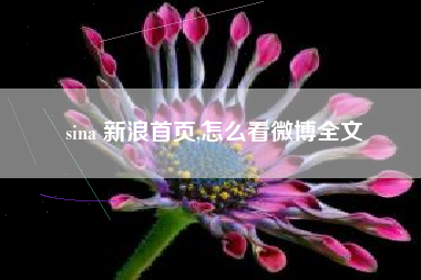 sina 新浪首页,怎么看微博全文