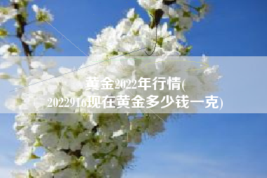黄金2022年行情(
2022916现在黄金多少钱一克) 黄金2022年行情(
2022916现在黄金多少钱一克)