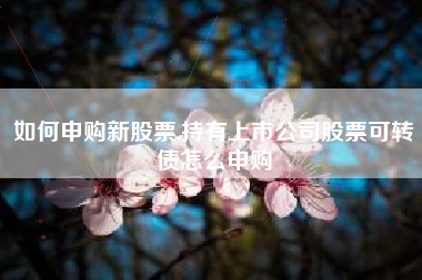 如何申购新股票,持有上市公司股票可转债怎么申购
