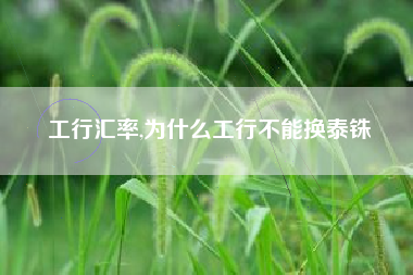 工行汇率,为什么工行不能换泰铢