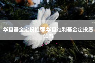 华夏基金定投推荐,华夏红利基金定投怎么做