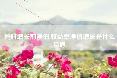 博时增长前净值,收益率净值增长是什么意思