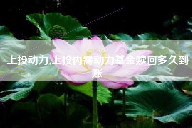 上投动力,上投内需动力基金赎回多久到账
