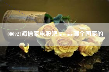 000921海信家电股吧,hisense哪个国家的