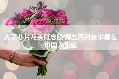 光子芯片龙头概念股,哪些高科技掌握在中国人手里