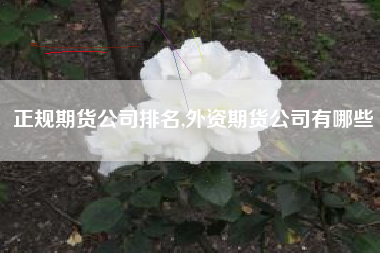 正规期货公司排名,外资期货公司有哪些
