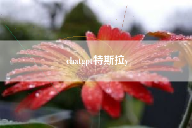 chatgpt特斯拉y