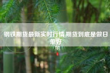 钢铁期货最新实时行情,期货到底是做日单好