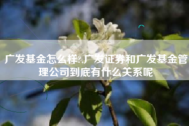 广发基金怎么样?,广发证券和广发基金管理公司到底有什么关系呢