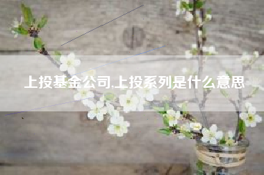 上投基金公司,上投系列是什么意思