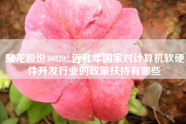 聚龙股份300202,近几年国家对计算机软硬件开发行业的政策扶持有哪些