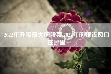 2022年升幅最大的股票,2022年的赚钱风口在哪里