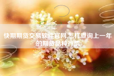 快期期货交易软件官网,怎样查询上一年的期货品种行情