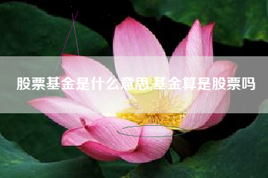 股票基金是什么意思,基金算是股票吗
