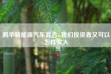 鹏华新能源汽车混合a,我们投资者又可以怎样买入