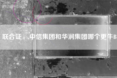联合证劵,中信集团和华润集团哪个更牛B