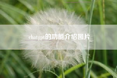 chatgpt的功能介绍图片