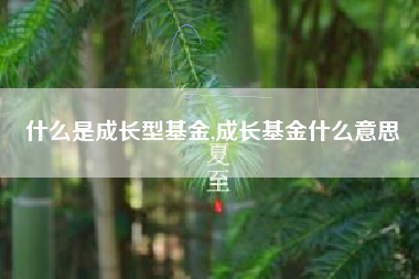 什么是成长型基金,成长基金什么意思