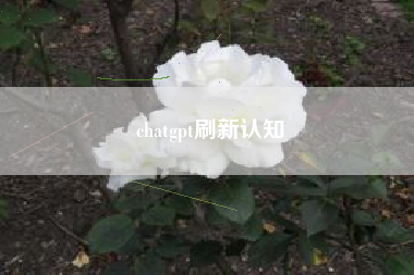 chatgpt刷新认知