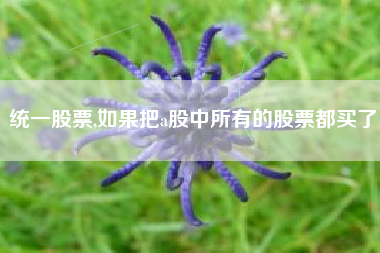 统一股票,如果把a股中所有的股票都买了