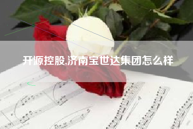 开源控股,济南宝世达集团怎么样