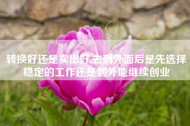 转换好还是卖出好,去到外面后是先选择稳定的工作还是到外地继续创业