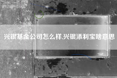 兴银基金公司怎么样,兴银添利宝啥意思