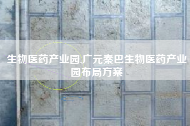 生物医药产业园,广元秦巴生物医药产业园布局方案