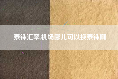 泰铢汇率,机场哪儿可以换泰铢啊