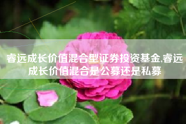睿远成长价值混合型证券投资基金,睿远成长价值混合是公募还是私募