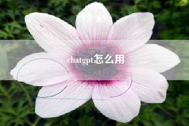 chatgpt怎么用