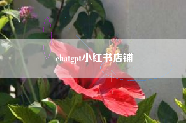 chatgpt小红书店铺