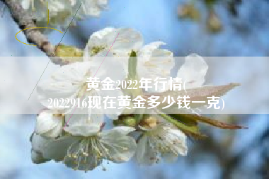 黄金2022年行情(
2022916现在黄金多少钱一克) 黄金2022年行情(
2022916现在黄金多少钱一克)