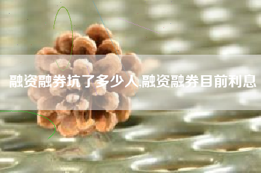 融资融券坑了多少人,融资融券目前利息