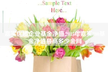 嘉实优质企业基金净值,2015年嘉实300基金净值最高多少金网