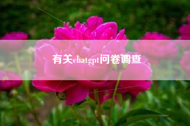 有关chatgpt问卷调查