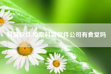 科蓝软件,南京科蓝软件公司有食堂吗