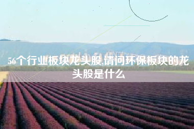 56个行业板块龙头股,请问环保板块的龙头股是什么