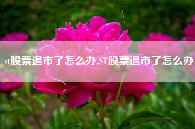 st股票退市了怎么办,ST股票退市了怎么办