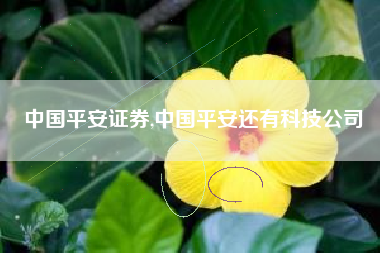 中国平安证券,中国平安还有科技公司