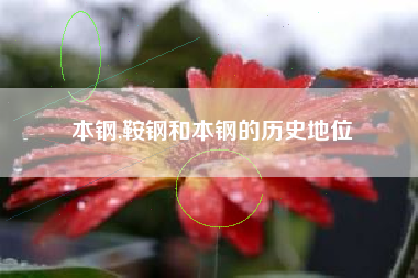 本钢,鞍钢和本钢的历史地位