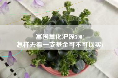 富国量化沪深300(
怎样去看一支基金可不可以买) 富国量化沪深300(
怎样去看一支基金可不可以买)