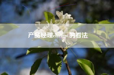 产品经理chatgpt的看法