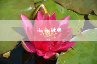 chatgpt续费