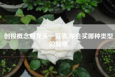 创投概念股龙头一览表,你会买哪种类型的股票