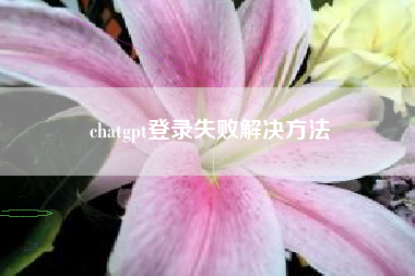 chatgpt登录失败解决方法