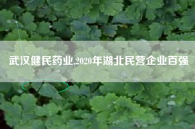 武汉健民药业,2020年湖北民营企业百强