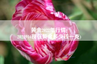 黄金2022年行情(
2022916现在黄金多少钱一克) 黄金2022年行情(
2022916现在黄金多少钱一克)