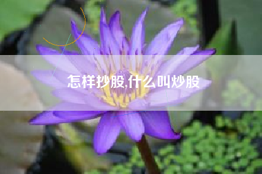 怎样抄股,什么叫炒股
